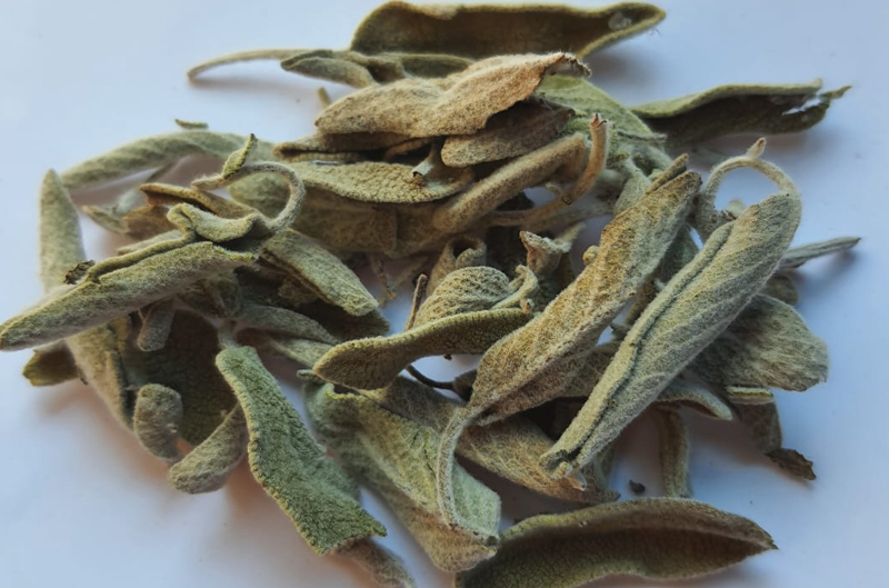 herbs