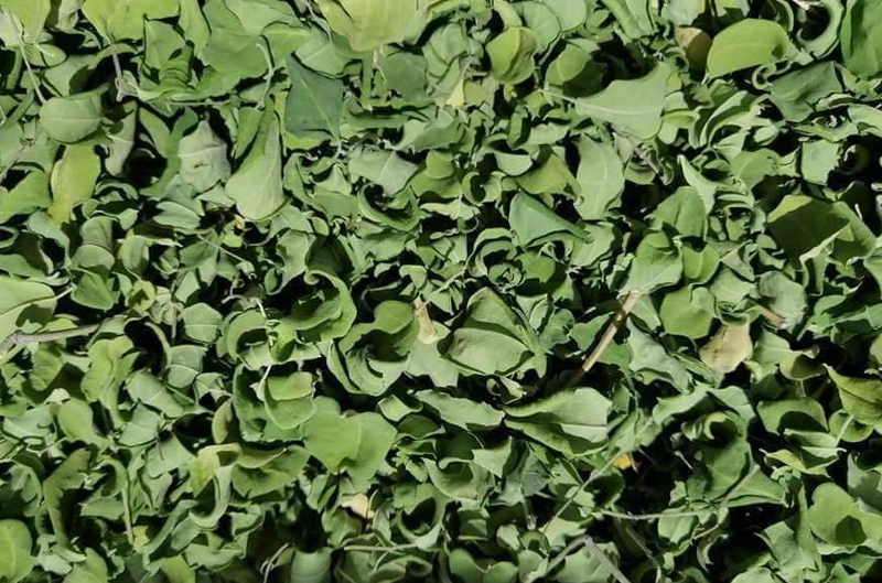 herbs