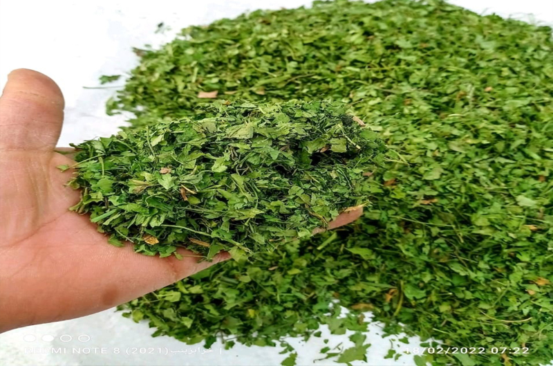 herbs