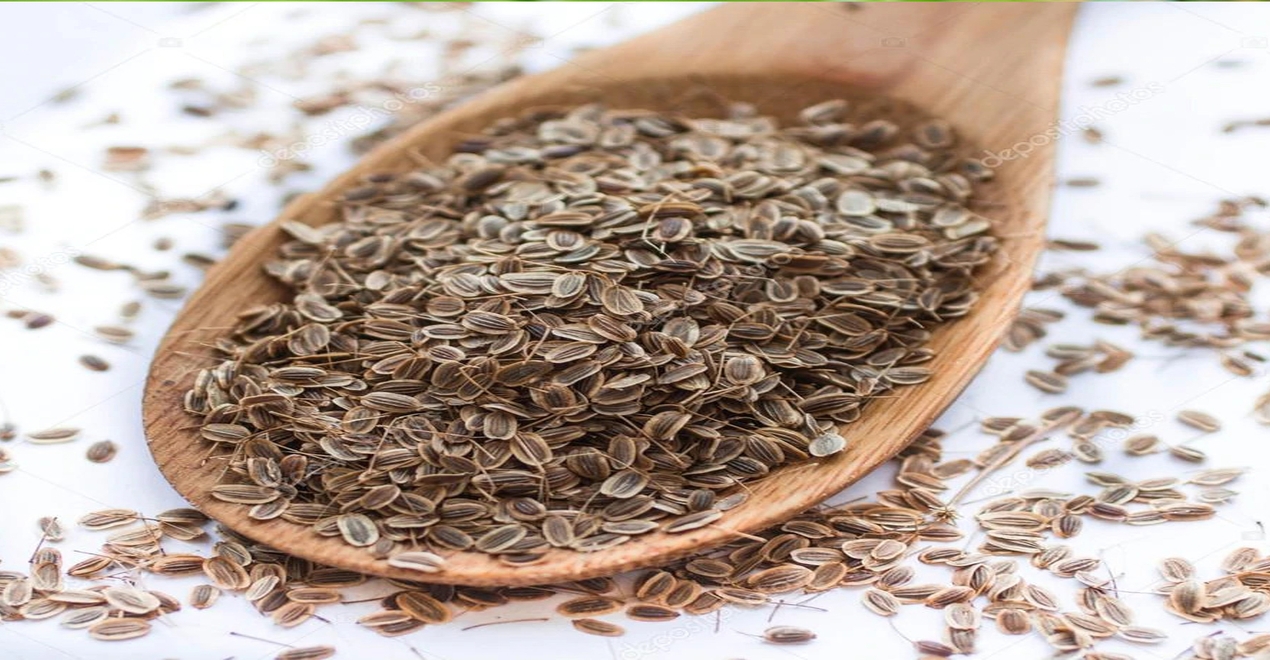 Dill Seeds