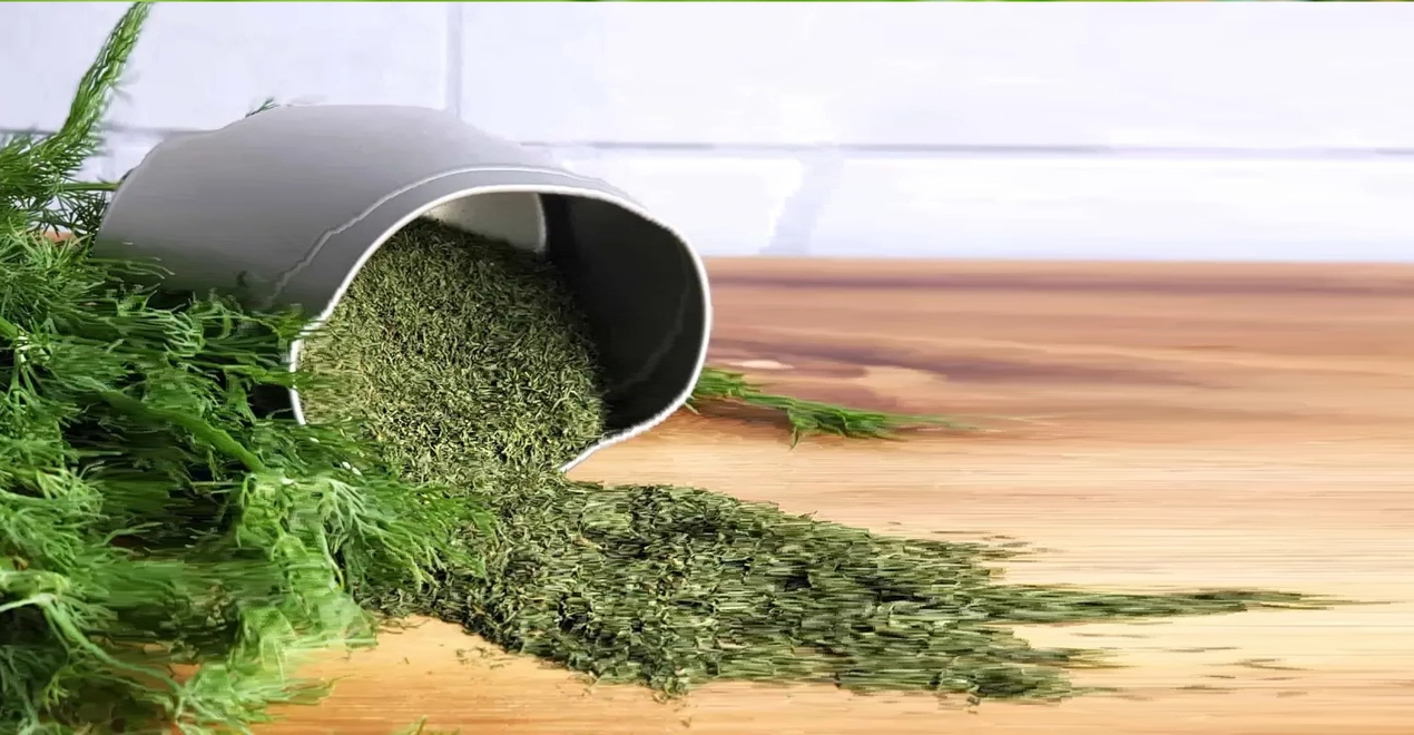 Dill Dried