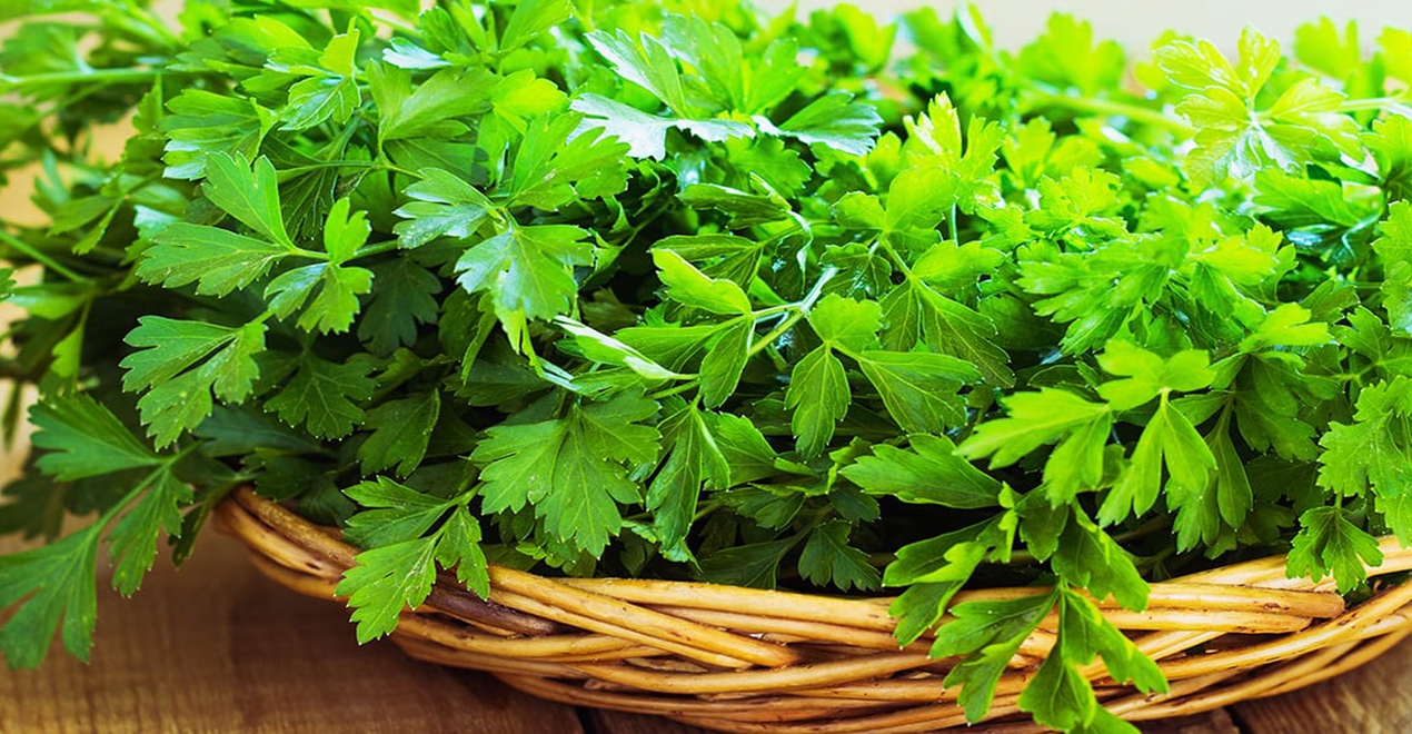 Parsley