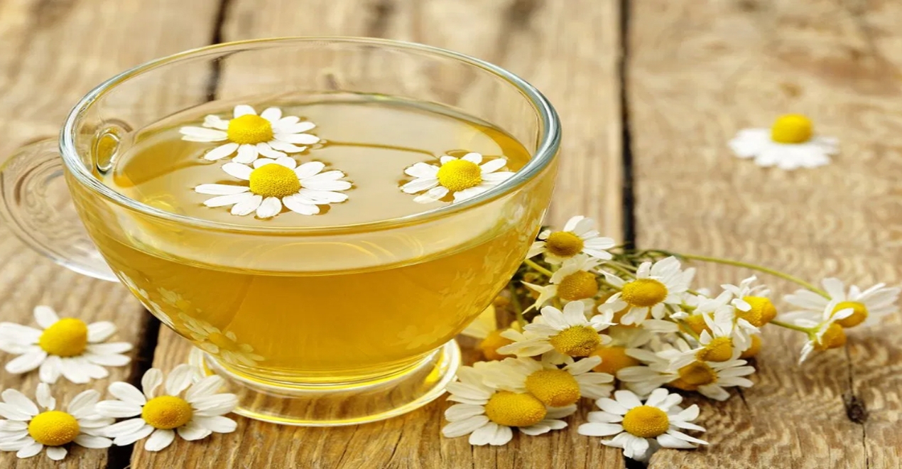 Chamomile Oils
