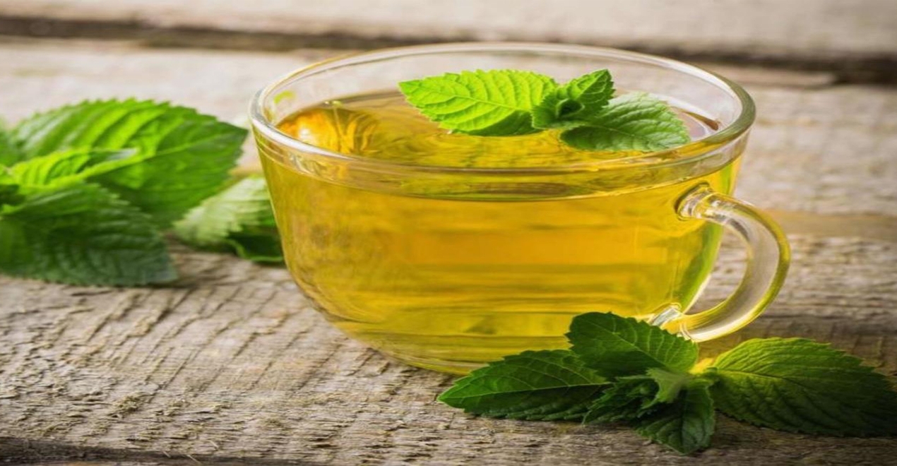 Peppermint & Spearmint Oils