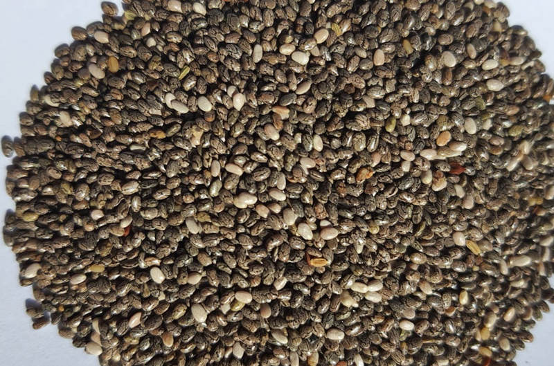 herbs