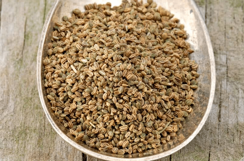 herbs